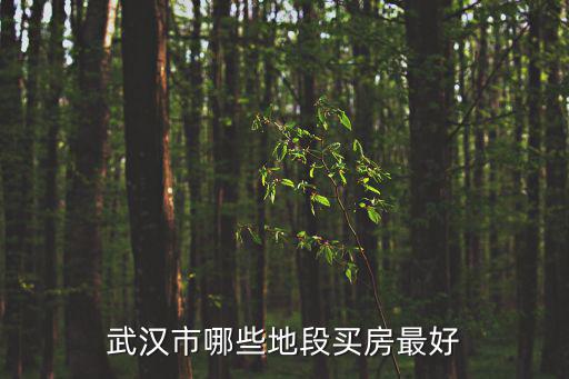 武漢市哪些地段買房最好