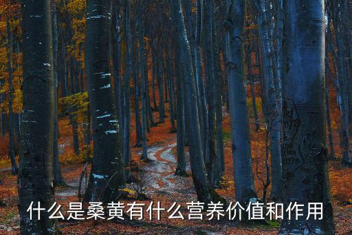 桑黃是什么,關(guān)于桑黃的五個知識點