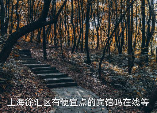 上海徐匯區(qū)有便宜點的賓館嗎在線等