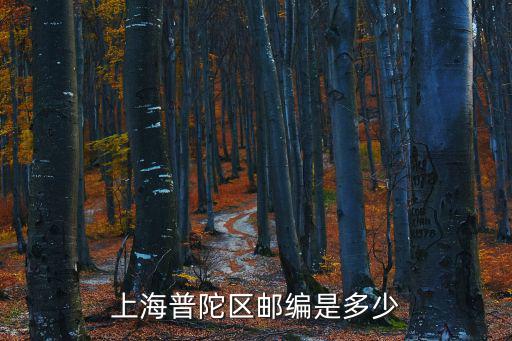 上海市普陀區(qū)郵，上海普陀區(qū)郵編200062是哪里啊