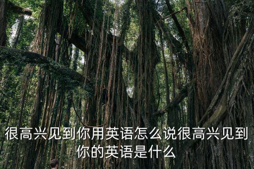 很高興見(jiàn)到你用英語(yǔ)怎么說(shuō)很高興見(jiàn)到你的英語(yǔ)是什么
