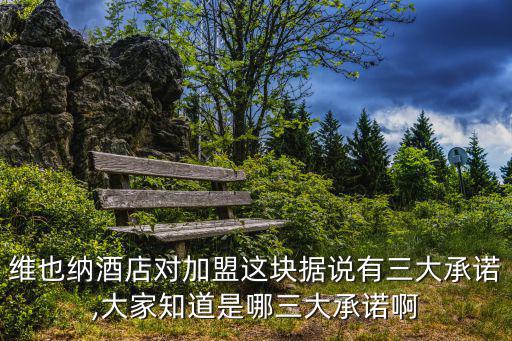 維也納酒店對加盟這塊據(jù)說有三大承諾,大家知道是哪三大承諾啊