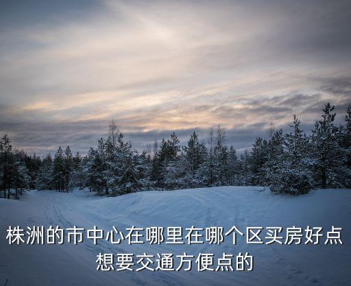 株洲的市中心在哪里在哪個區買房好點想要交通方便點的