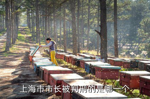 上海市市長被判刑的是哪一個