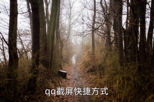 qq截屏快捷方式