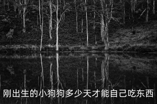 剛出生的小狗狗多少天才能自己吃東西