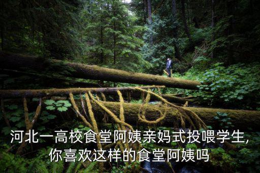河北一高校食堂阿姨親媽式投喂學生,你喜歡這樣的食堂阿姨嗎