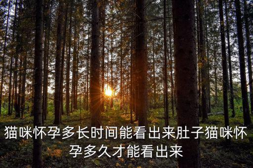 貓懷孕多少天顯肚，貓懷孕后多久看得出來