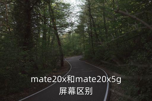華為mate20x,華為mate20x屏幕區(qū)別是什么?