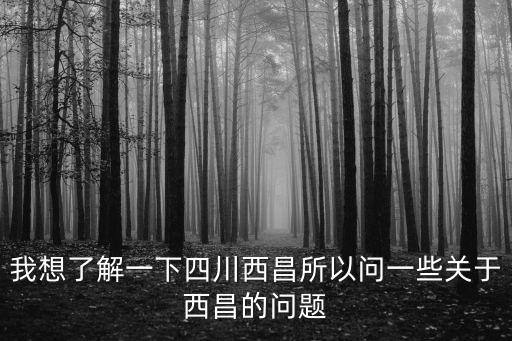 西昌房?jī)r(jià)哪個(gè)區(qū)域最高，2010西昌房?jī)r(jià)