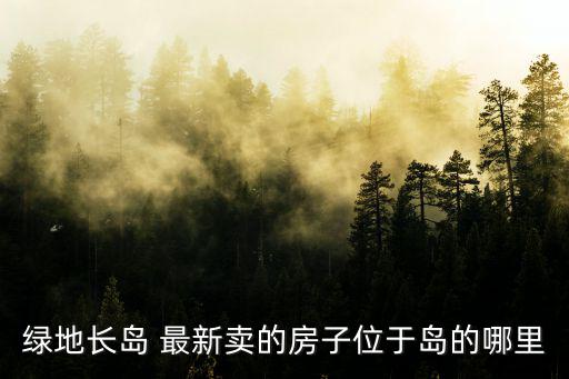 綠地長島 最新賣的房子位于島的哪里
