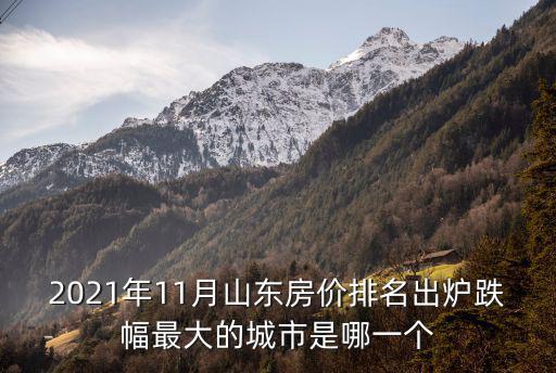 房價下跌最多的縣城是哪個，中國過去10年房價跌幅最大的城市是哪幾座