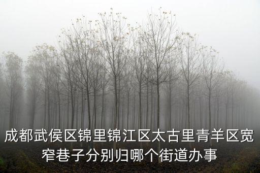 成都武侯區錦里錦江區太古里青羊區寬窄巷子分別歸哪個街道辦事