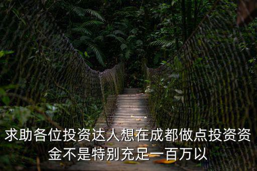 求助各位投資達(dá)人想在成都做點(diǎn)投資資金不是特別充足一百萬(wàn)以