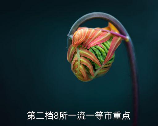 第二檔8所一流一等市重點