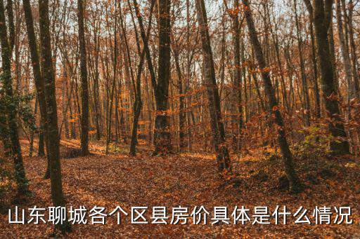 山東聊城各個區(qū)縣房價具體是什么情況