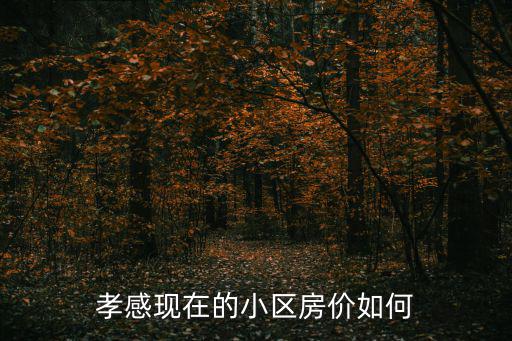 孝感現(xiàn)在的小區(qū)房價如何