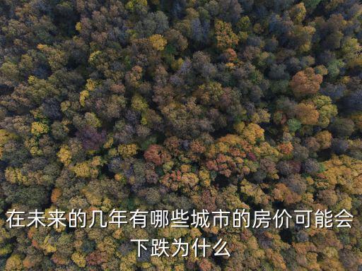 在未來的幾年有哪些城市的房價(jià)可能會(huì)下跌為什么