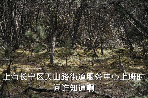 上海長寧區天山路街道服務中心上班時間誰知道啊