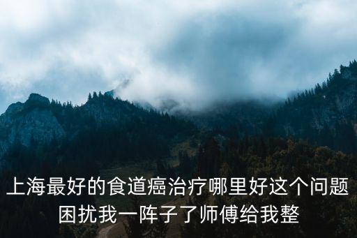 上海最好的食道癌治療哪里好這個(gè)問題困擾我一陣子了師傅給我整
