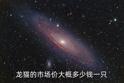 龍貓的市場價大概多少錢一只