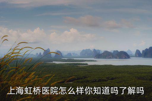 上海市虹橋醫院簡介，上海虹橋醫院怎么樣你知道嗎了解嗎