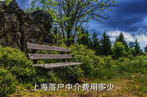 上海落戶中介費用多少