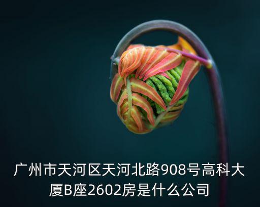 廣州市天河區(qū)天河北路908號(hào)高科大廈B座2602房是什么公司