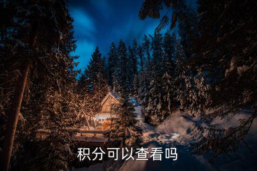 積分可以查看嗎