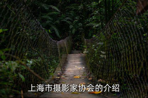 上海市攝影家協會的介紹