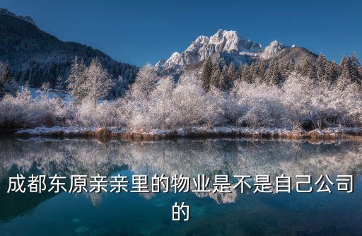 成都東原親親里的物業是不是自己公司的