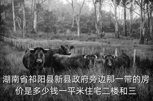 和政房價哪個小區便宜，湖南省祁陽縣新縣政府旁邊那一帶的房價是多少錢一平米住宅二樓和三