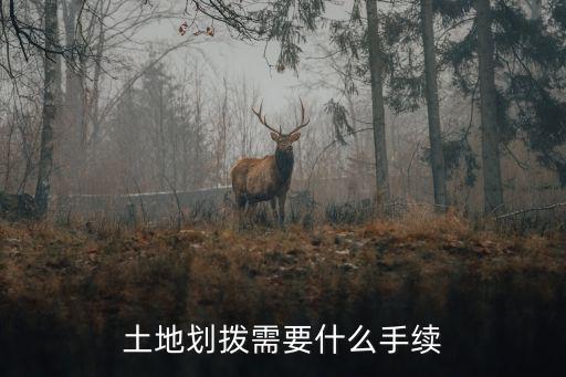 重慶市辦理劃撥用地手續(xù)，土地劃撥需要什么手續(xù)