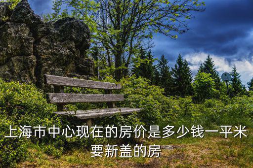上海市中心現(xiàn)在的房價(jià)是多少錢一平米要新蓋的房