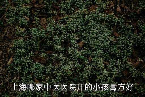上海哪家中醫醫院開的小孩膏方好
