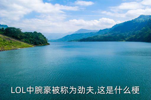魅力英雄,玩家為什么都討厭亞索這個英雄?