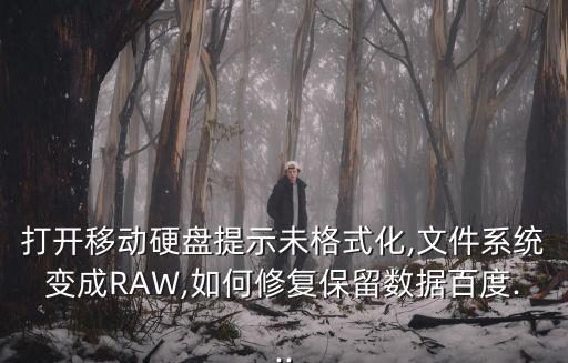 打開移動硬盤提示未格式化,文件系統變成RAW,如何修復保留數據百度...