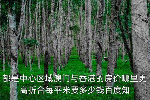 2017澳門房價如何，都是中心區域澳門與香港的房價哪里更高折合每平米要多少錢百度知