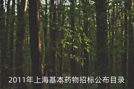 2011年上海基本藥物招標(biāo)公布目錄