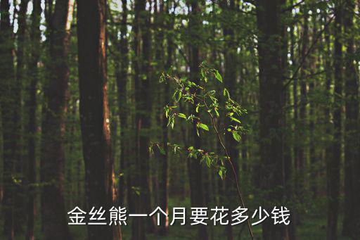 金絲熊一個月要花多少錢