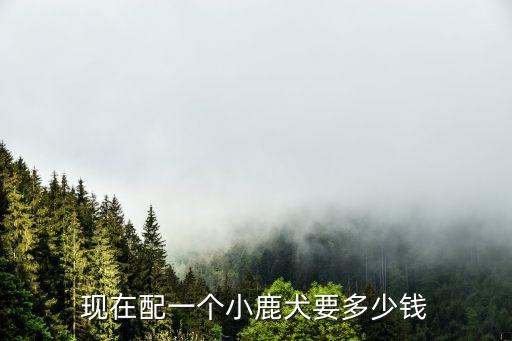 小鹿犬配種需要多少錢，現在配一個小鹿犬要多少錢