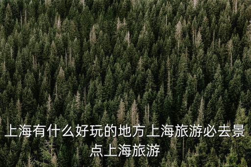 上海有什么好玩的地方上海旅游必去景點上海旅游