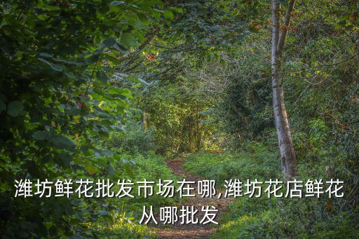 濰坊鮮花批發(fā)市場(chǎng)在哪,濰坊花店鮮花從哪批發(fā)