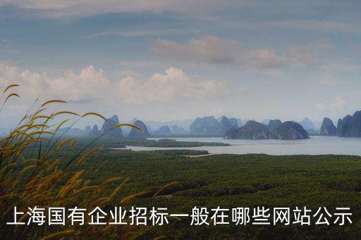 上海市標辦平臺，上海企標備案在哪里進行