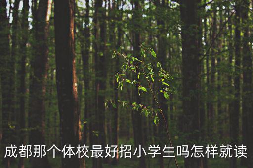 成都那個體校最好招小學生嗎怎樣就讀