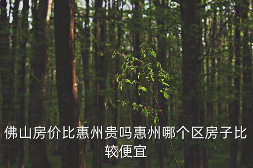 佛山房價比惠州貴嗎惠州哪個區(qū)房子比較便宜