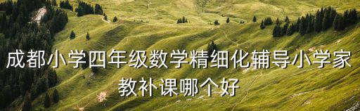 成都小學四年級數(shù)學精細化輔導小學家教補課哪個好