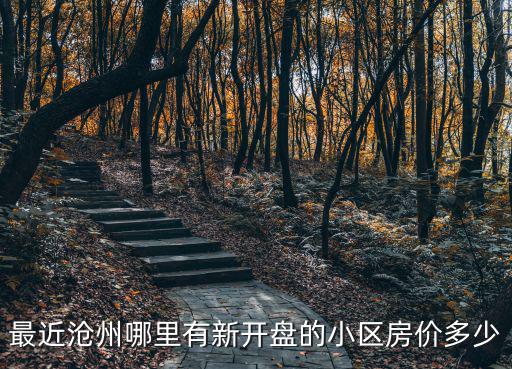 最近滄州哪里有新開盤的小區(qū)房價多少