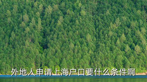 外地人申請上海戶口要什么條件啊