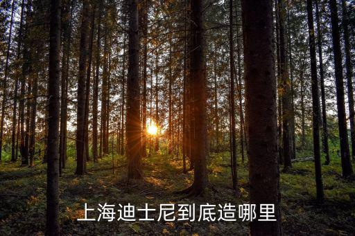 上海迪士尼到底造哪里